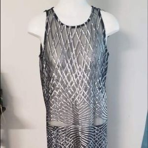 Pret-A-Porter Silver and Black See Thru Dress